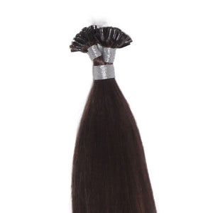 Chocolate Brown U-Tip